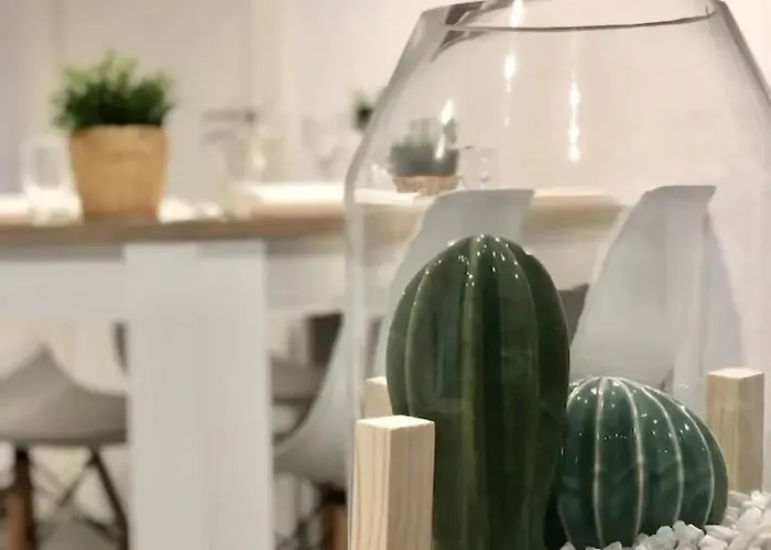 Ramon Pignatelli Saragossa